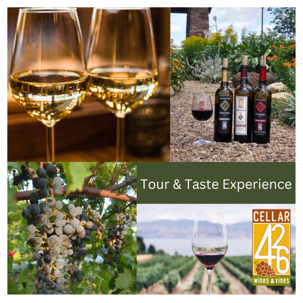 Tour & Taste Experience Sold Out Cellar 426 Vineyard, Winery